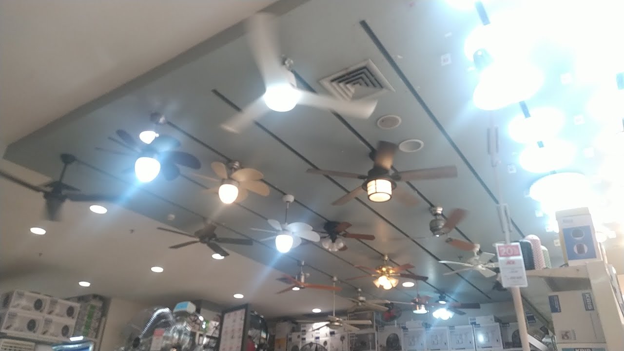 fans at ace hardware super mall karawaci