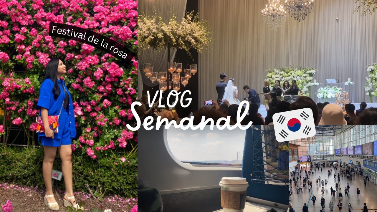 Fuimos a una boda coreana👰🏻‍♀️ + Mes de las rosas🌹 + Ropa de verano 👗