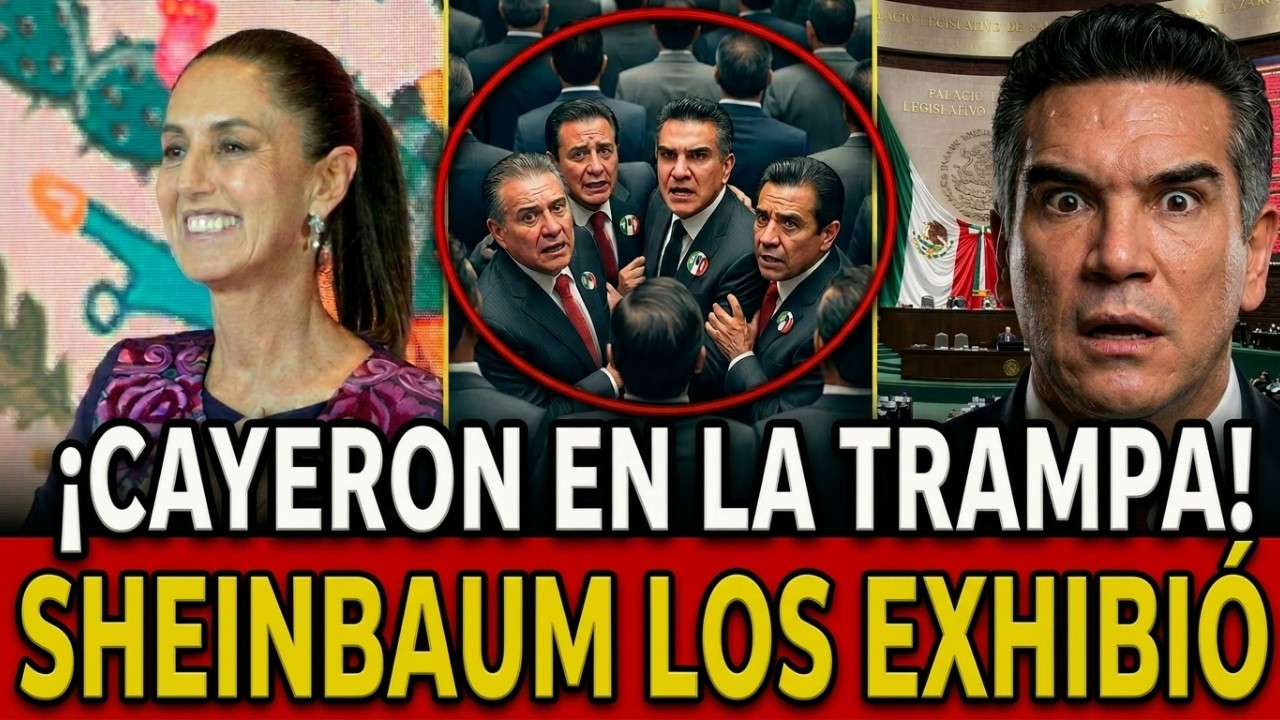 🚨¡PLAN MAESTRO! Sheinbaum BORRARÁ a ALITO, PRIAN y PLURIS La TRAMPA donde CAYERON