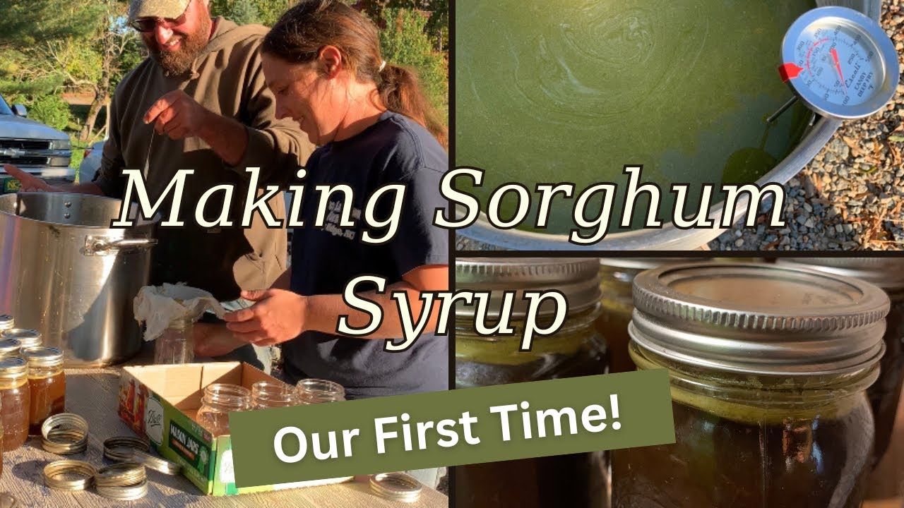Sorghum Syrup | From Field to Jar | Part 3 of 3 | October 2023