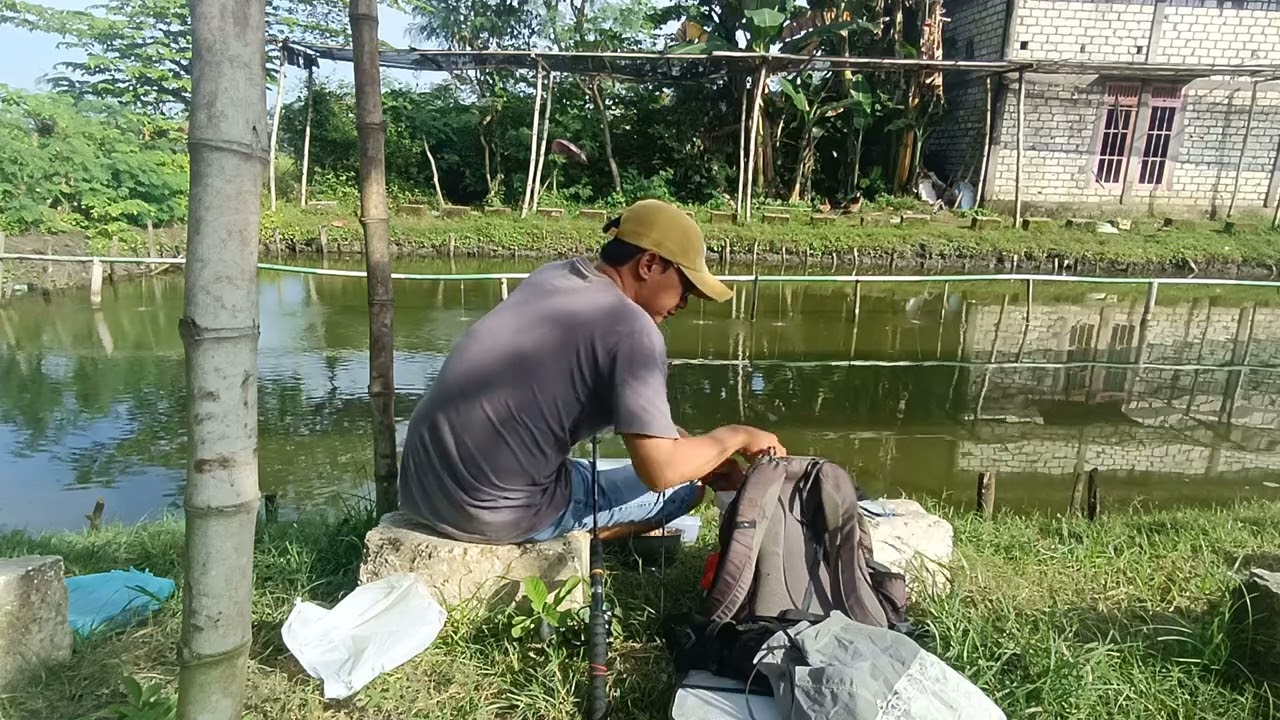 RANGKAIAN 1 MATA KAIL IKAN MAS DAN IKAN PATIN