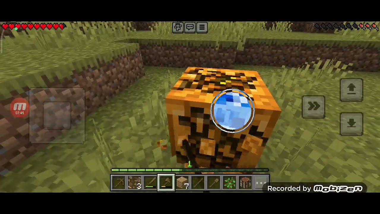 Minecraft bölüm 1 