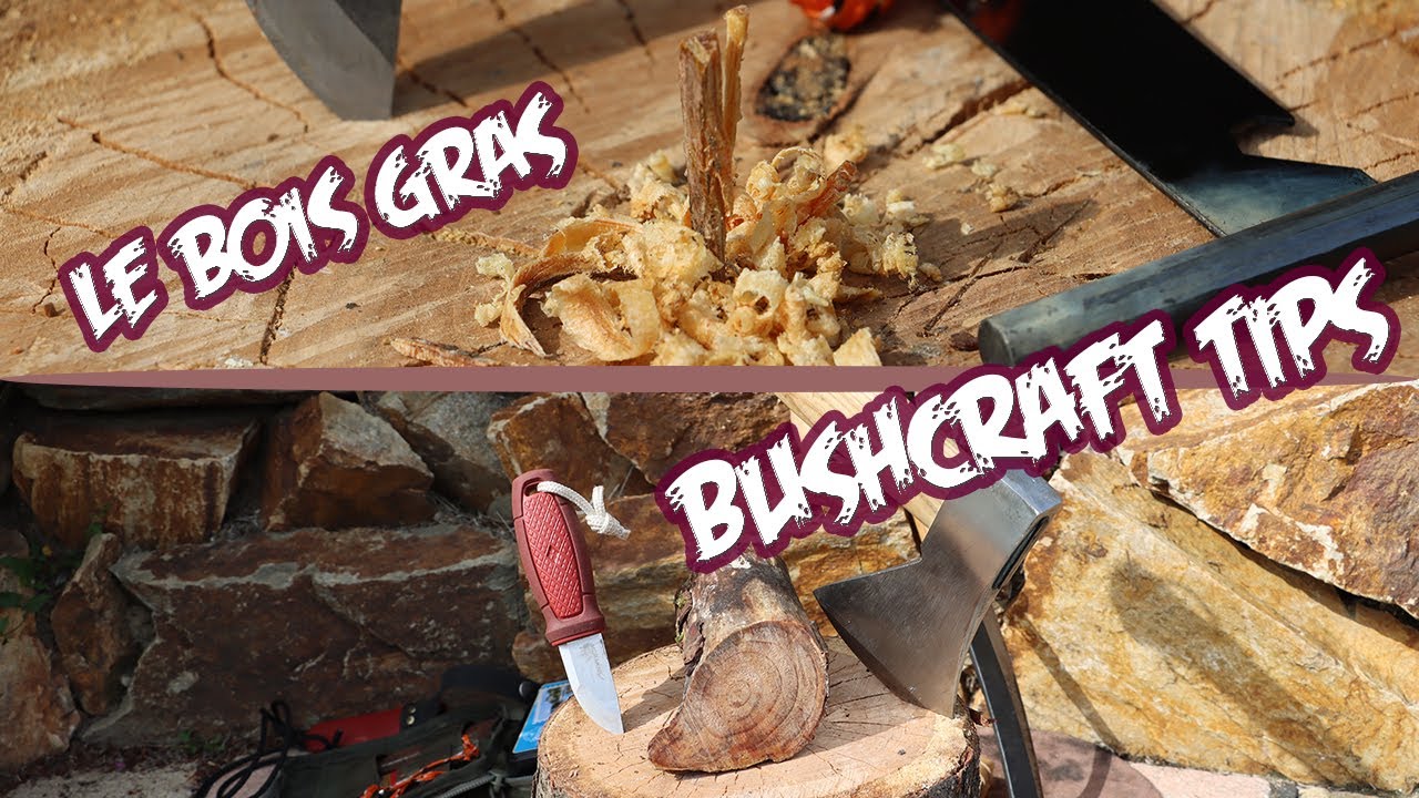💡🤠 Bushcraft Tips - Bois Gras - Flamme assurée