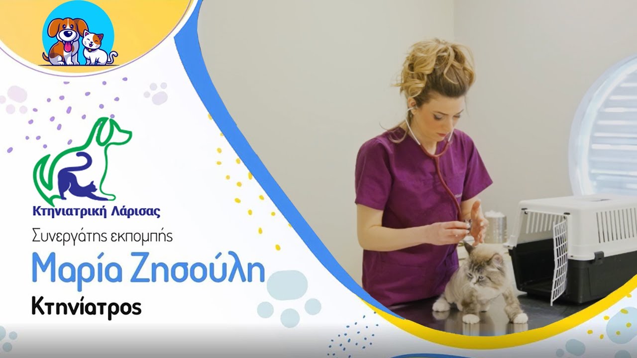 Πως μεταφέρω την γάτα στον κτηνίατρο; 🐱 🐈
