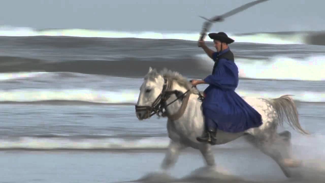Csik&oacute;s in Atlantic Ocean Morocco