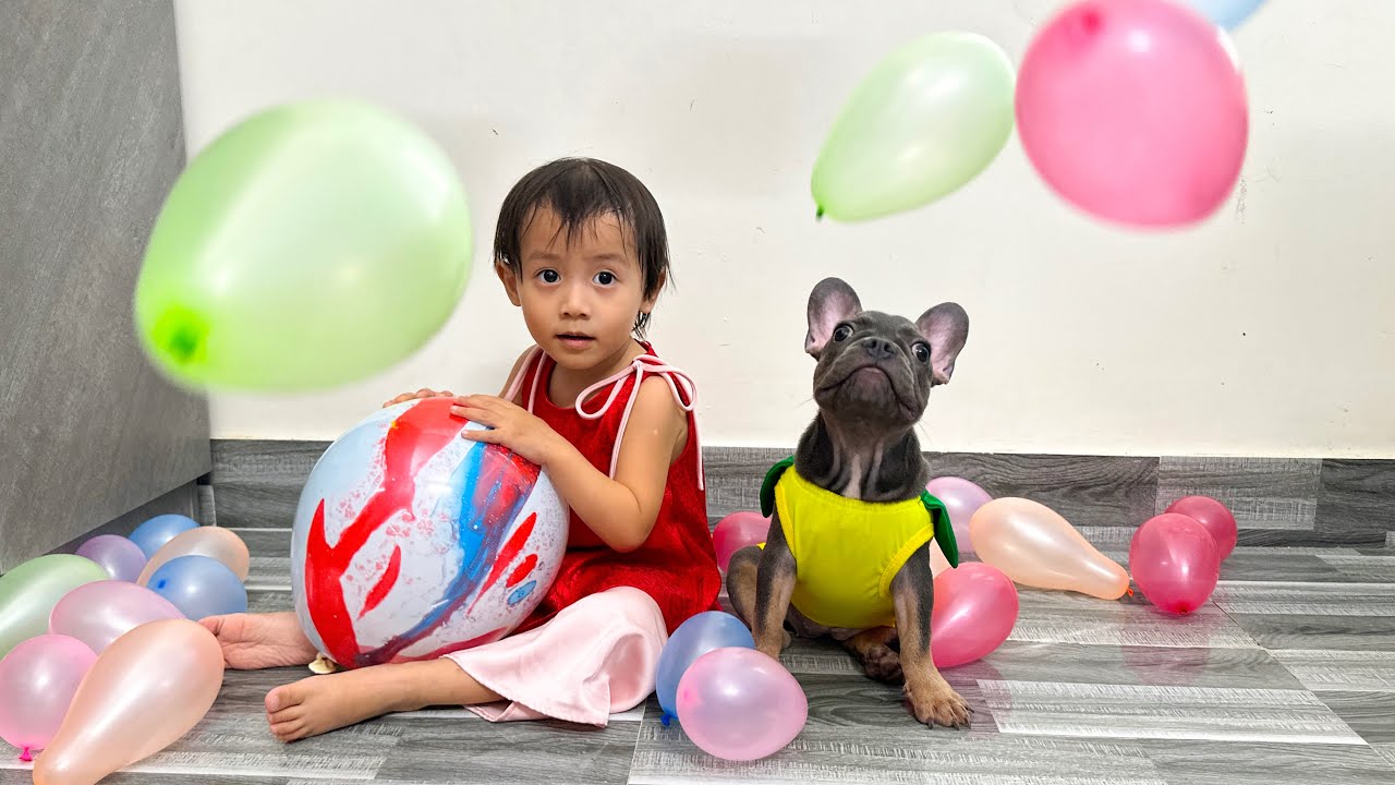 Mun Dog Can't Resist the Appeal of Balloons | Funny Dog Video