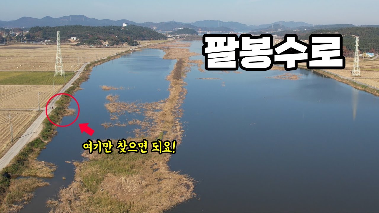 가온[대물낚시대회]Ver24. 팔봉수로 군계일학 노지 대물낚시 대회 상금100만원!