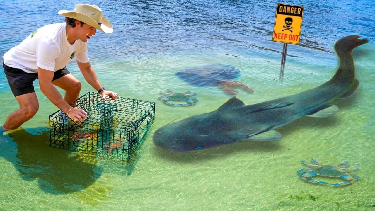 24 HOUR FISH TRAP Catches VENOMOUS FISH