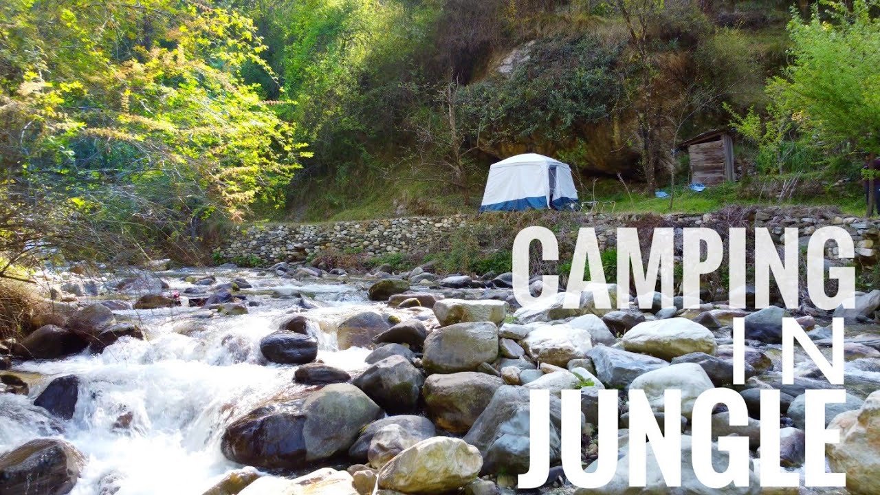 Shimla, Manali छोड़ो यहां जाओ  🌳  🌲  🌴 🌳 Jibhi trip Part 4