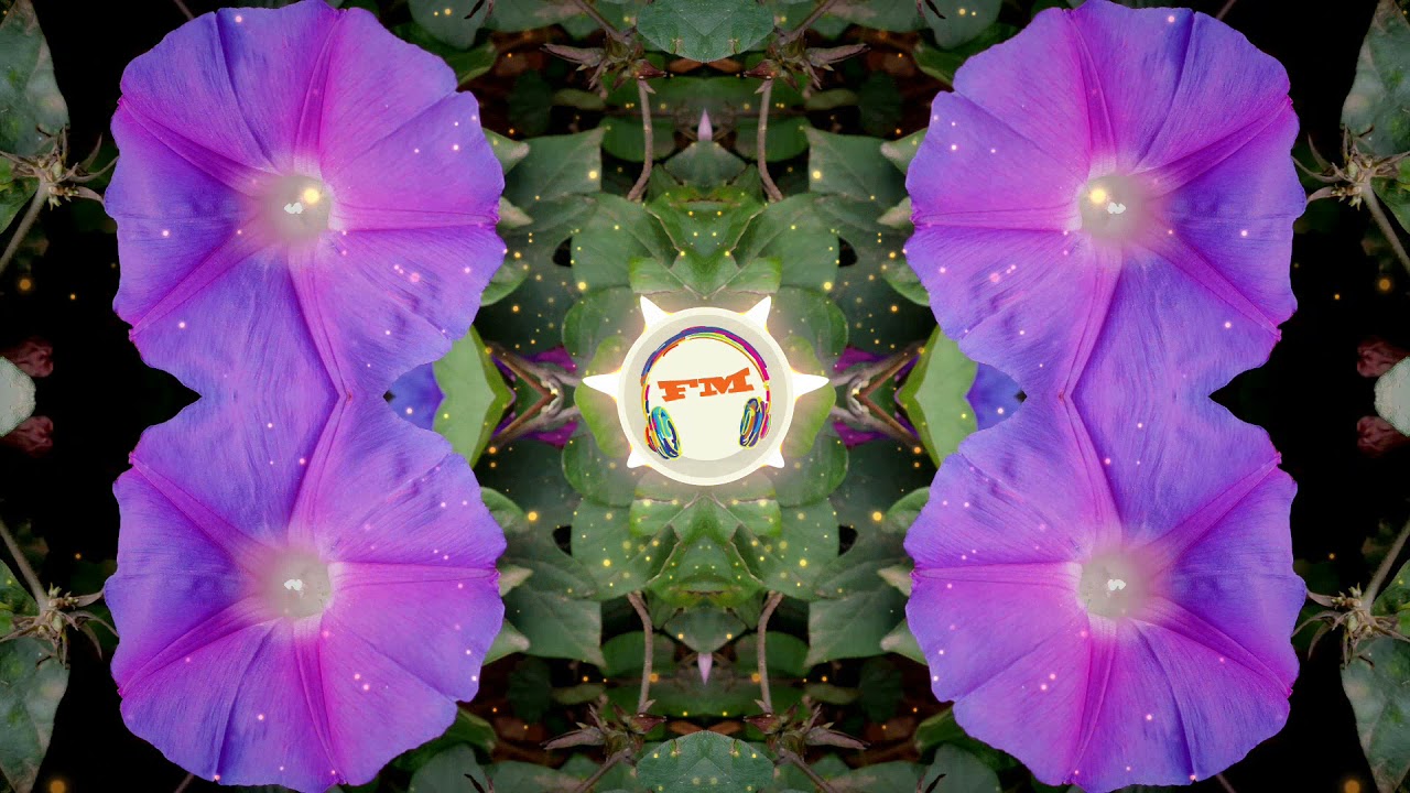 🤯 JP's First Song 🤯 Electro Progressive Techno 🔊 Mixed into a self made video 😮 Awesome 2021 Music 🕺