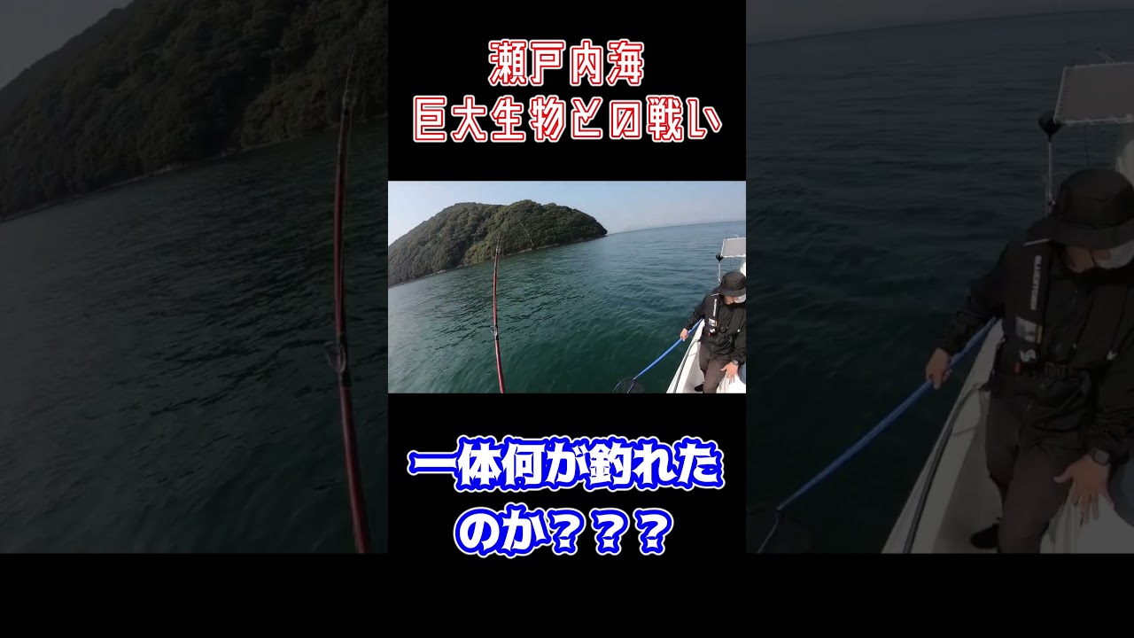 瀬戸内海で大物がかかった瞬間