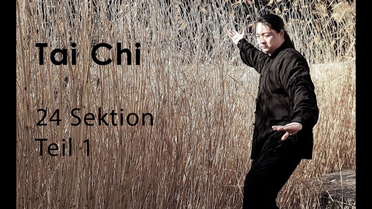 Tai Chi 24 Tutorial Teil 1