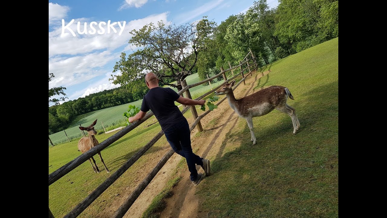 WILDPARK ERNSTBRUNN AUSTRIA