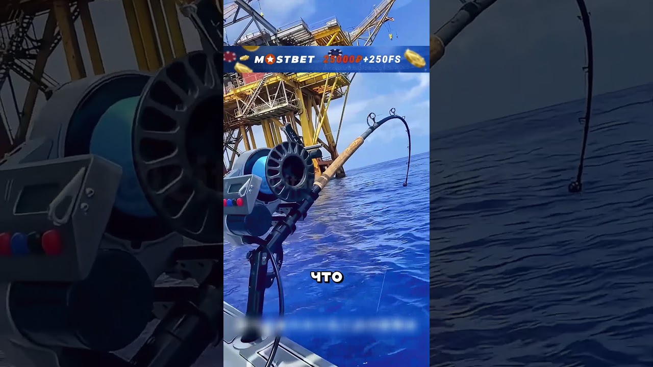 Использовали кальмаров для наживки на огромного меченосого тунца 😲🌊🎏