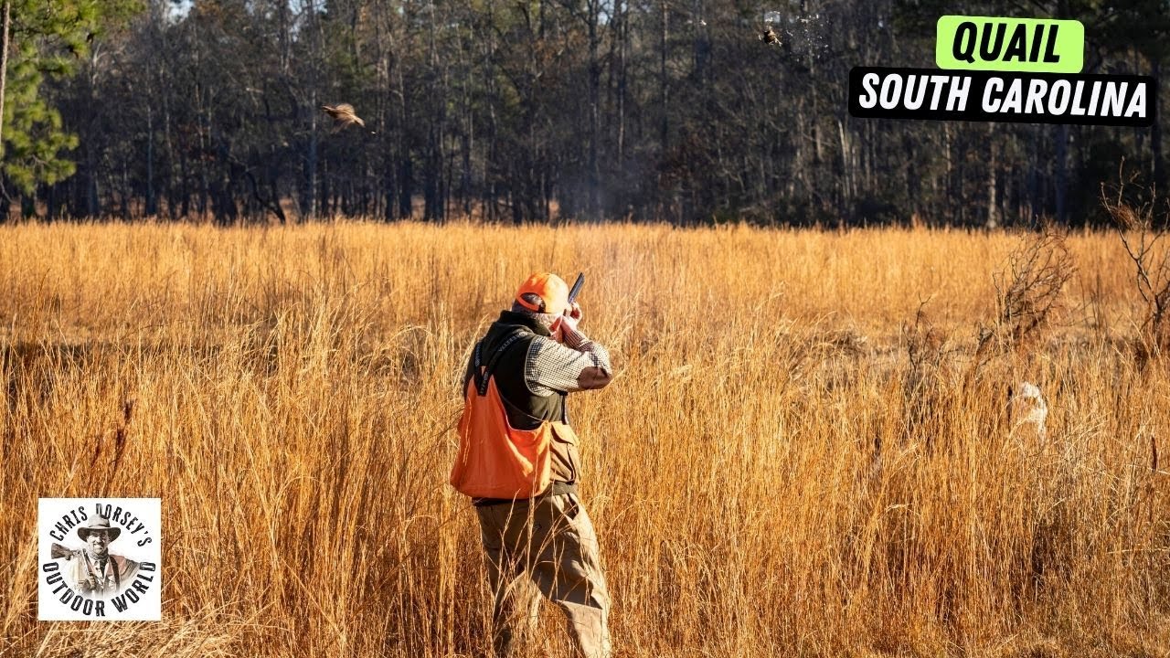 Magical Upland Hunting in the Lowcountry