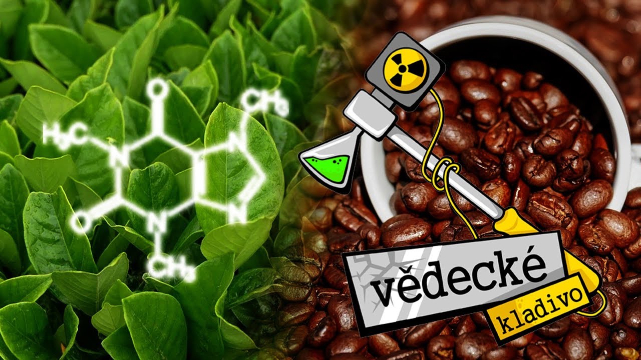 Kofein vs T(h)ein - Vědecké kladivo