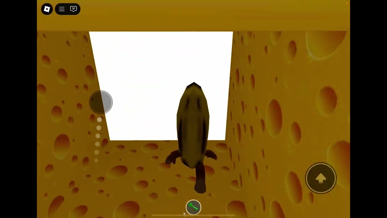 Playing cheese escape with my cousin!