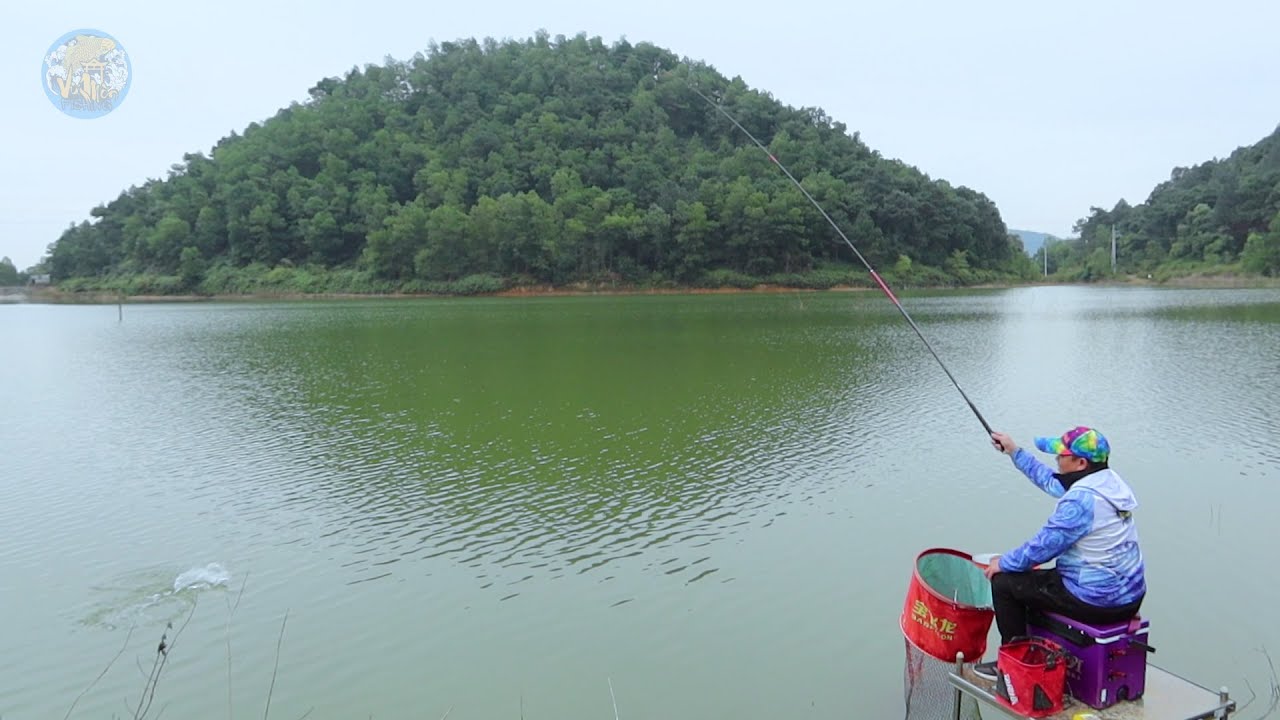 CÂU CÁ DIẾC: BÀI MỒI VUỐT CÂU CÁ DIẾC TO - Crucian Carp Fishing