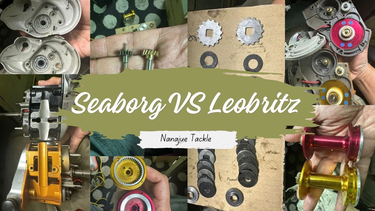 Seaborg vs Leobritz