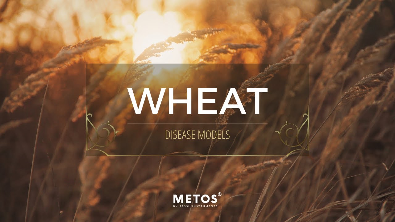 Wheat Disease Models - METOS&reg; by Pessl Instruments