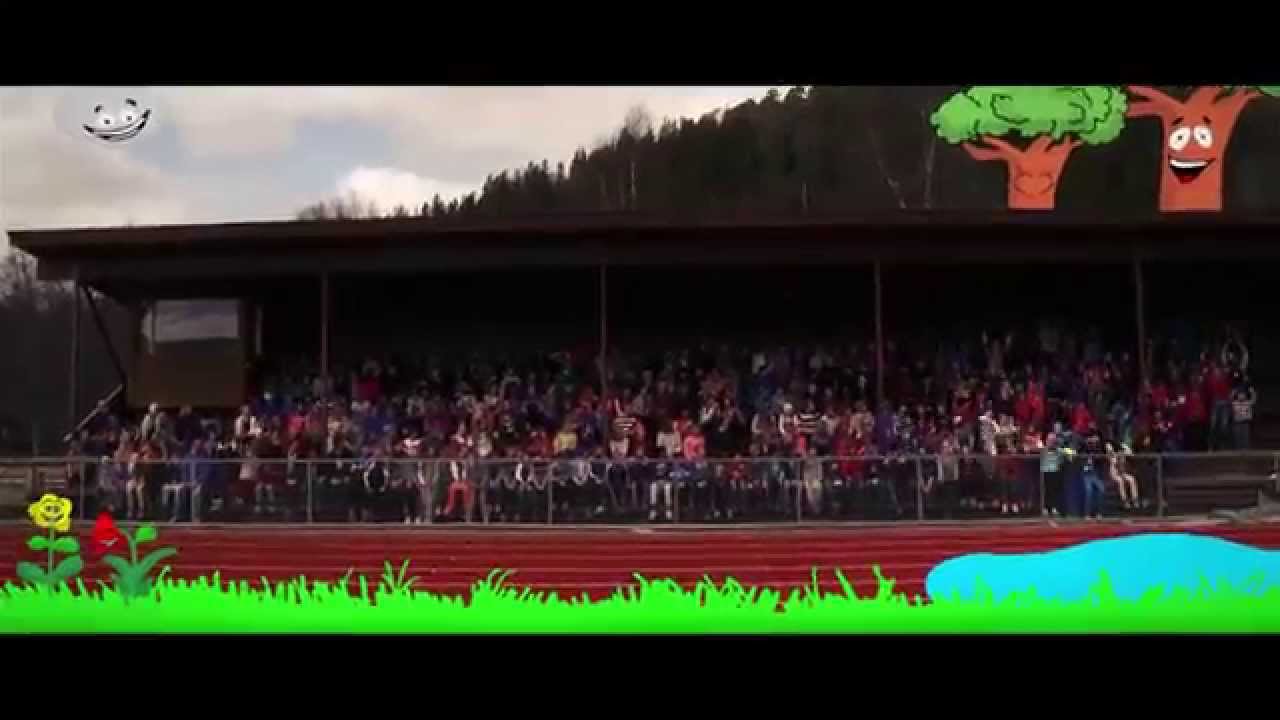 Lyden av Høknes
