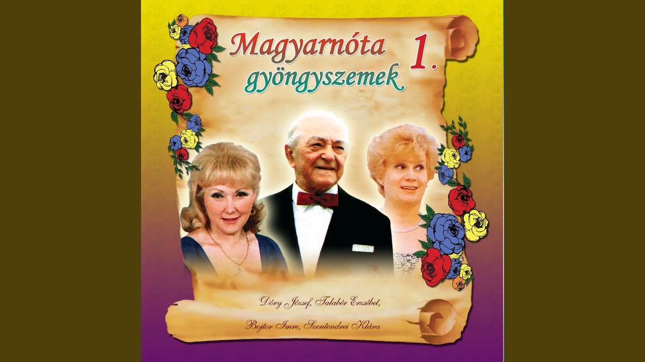 Ne nézzetek úgy rám, mint egy csavargóra mix (Messze száll a fecske, Azt mondják rám, Ki...