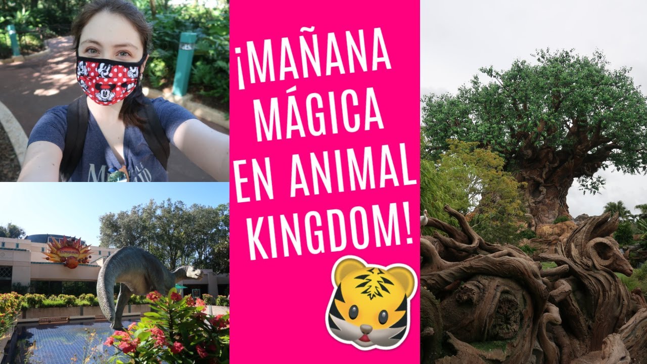 ¡GRANDES EMOCIONES EN ANIMAL KINGDOM! / MAÑANA EN DINOLAND Y DETALLES QUE NUNCA HABÍA VISTO