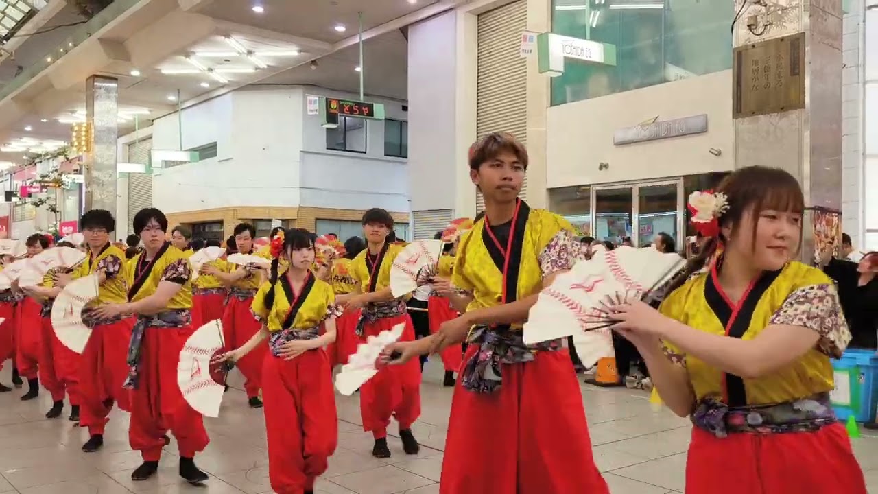 第59回松山野球拳おどり 企業連の部 愛媛ダイハツ販売連(大街道)