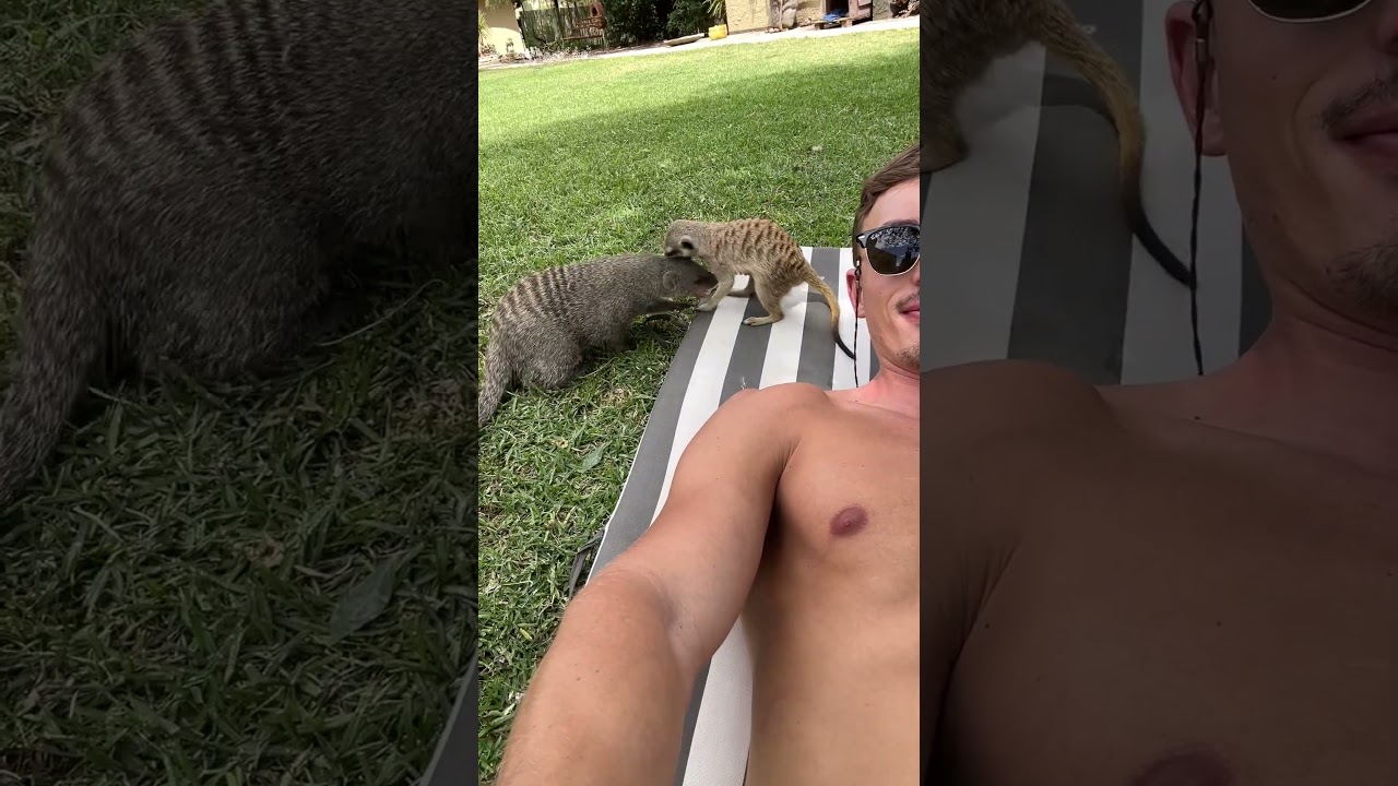 POV: You are sunbathing in Namibia! 😎