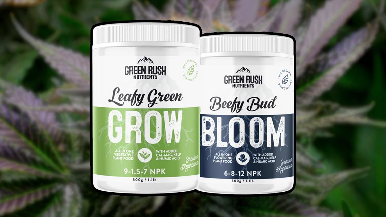 My Honest Thoughts on Green Rush Nutrients!