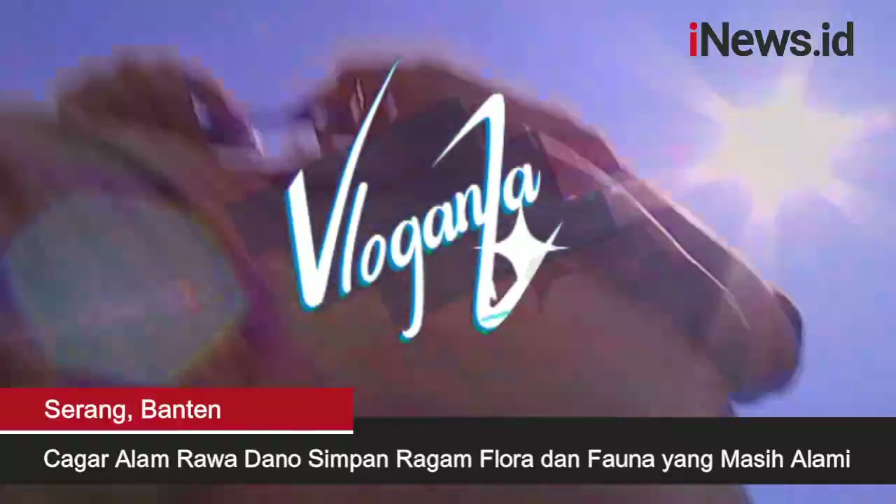 Melihat Cagar Alam Rawa Dano Simpan Ragam Flora dan Fauna yang Masih Alami