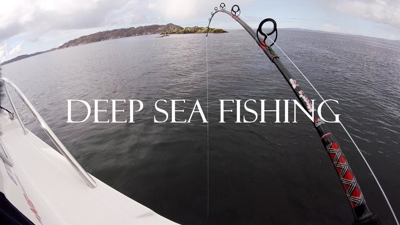 Spring Deep Sea Fishing Austevoll