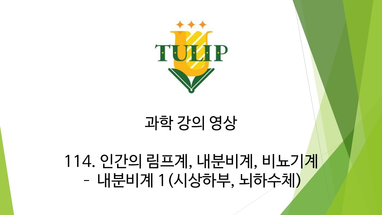[과학] 114. 인간의 림프계, 내분비계, 비뇨기계 - 내분비계1(시상하부, 뇌하수체)