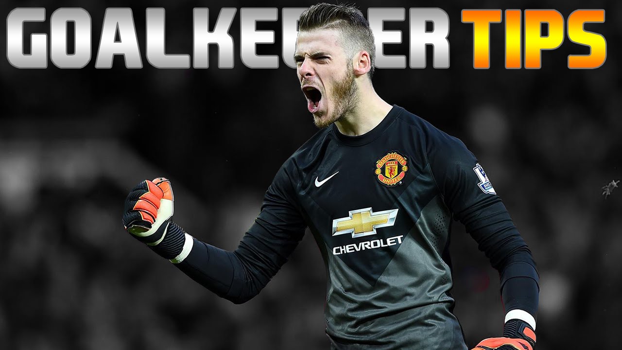 FIFA 15: Pro Clubs Goalkeeper Tips #1