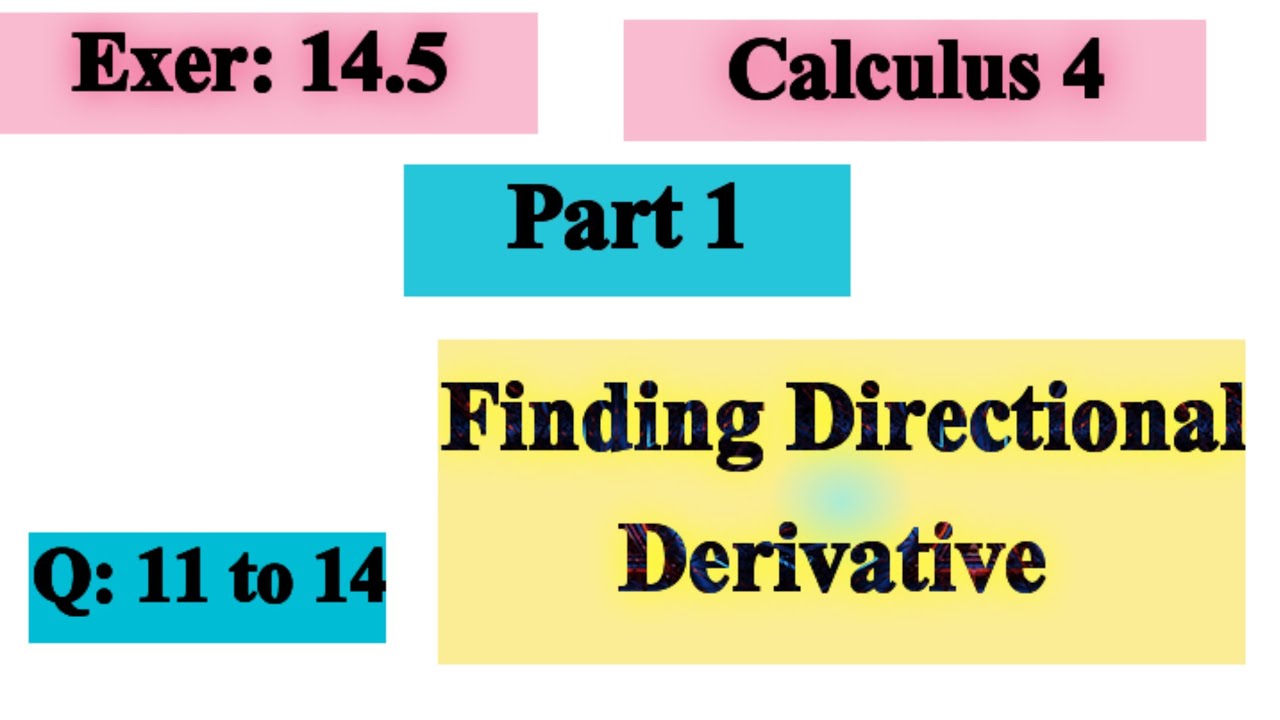 Question 11 to 14 | Exercise 14.5 | Finding Directional Derivative | Calculus 4 | by Thomas Finee