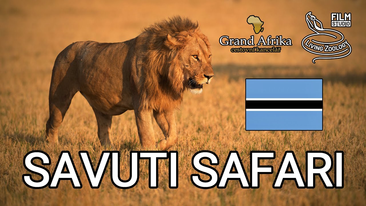 Wildlife Safari Review, Savuti area of Chobe in Botswana, wild leopards, lions, elephants