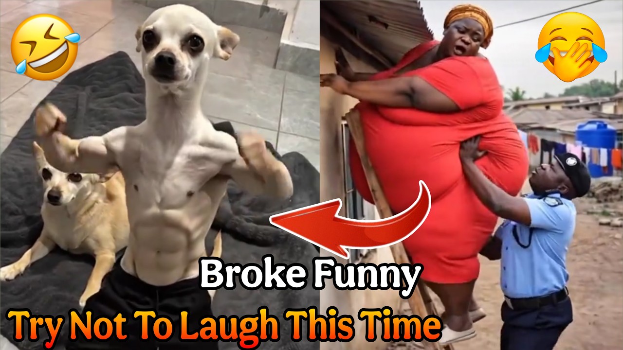 Broke Funny | Try Not To Laugh 😂 | episode 2 | @BrokeFunny
