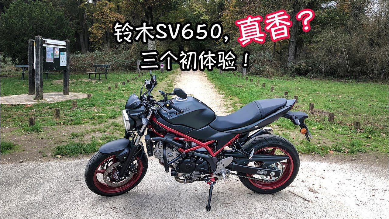 铃木SV650新车深入体验，她香吗？骑行法国Vlog17