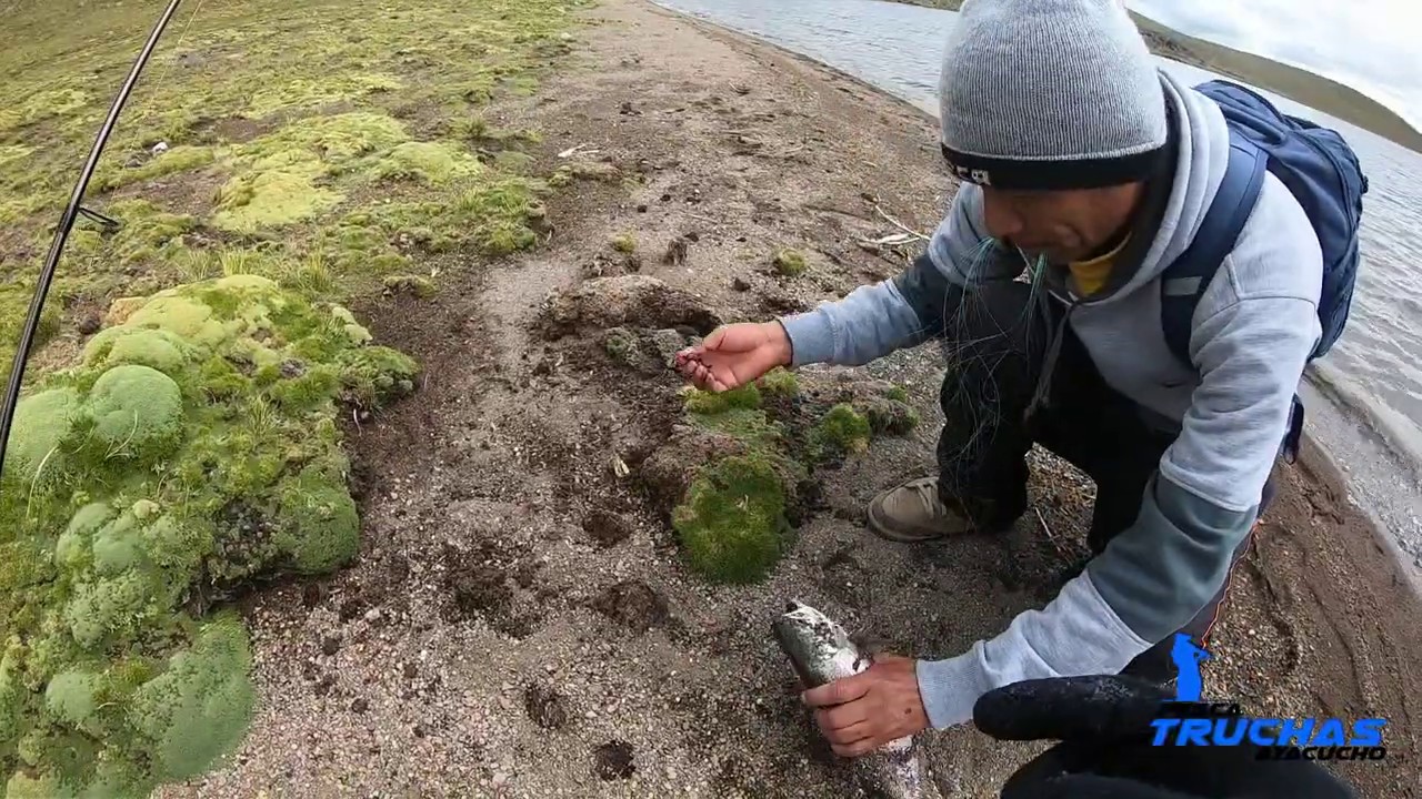 Conociendo nuevas lagunas para pescar truchas | Pesca con caña y linea de mano | Pesca de truchas