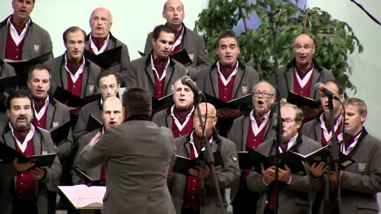 INTERKULTUR Report: In...Canto sul Garda 2011 - Closing - Coro Sasslong (I)