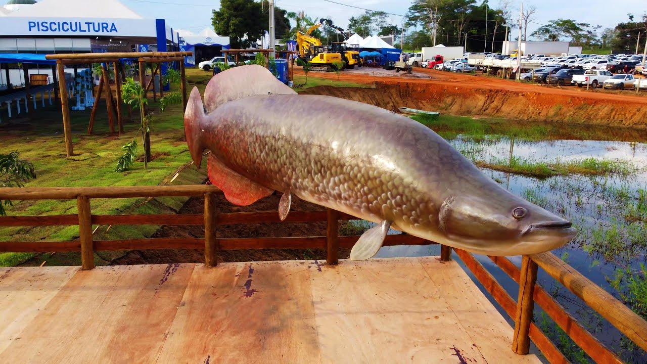 10&ordf; ROND&Ocirc;NIA RURAL SHOW INTERNACIONAL