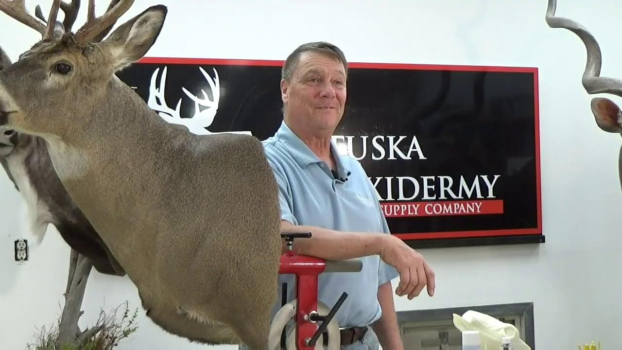 Learn Taxidermy: Unsung Heroes