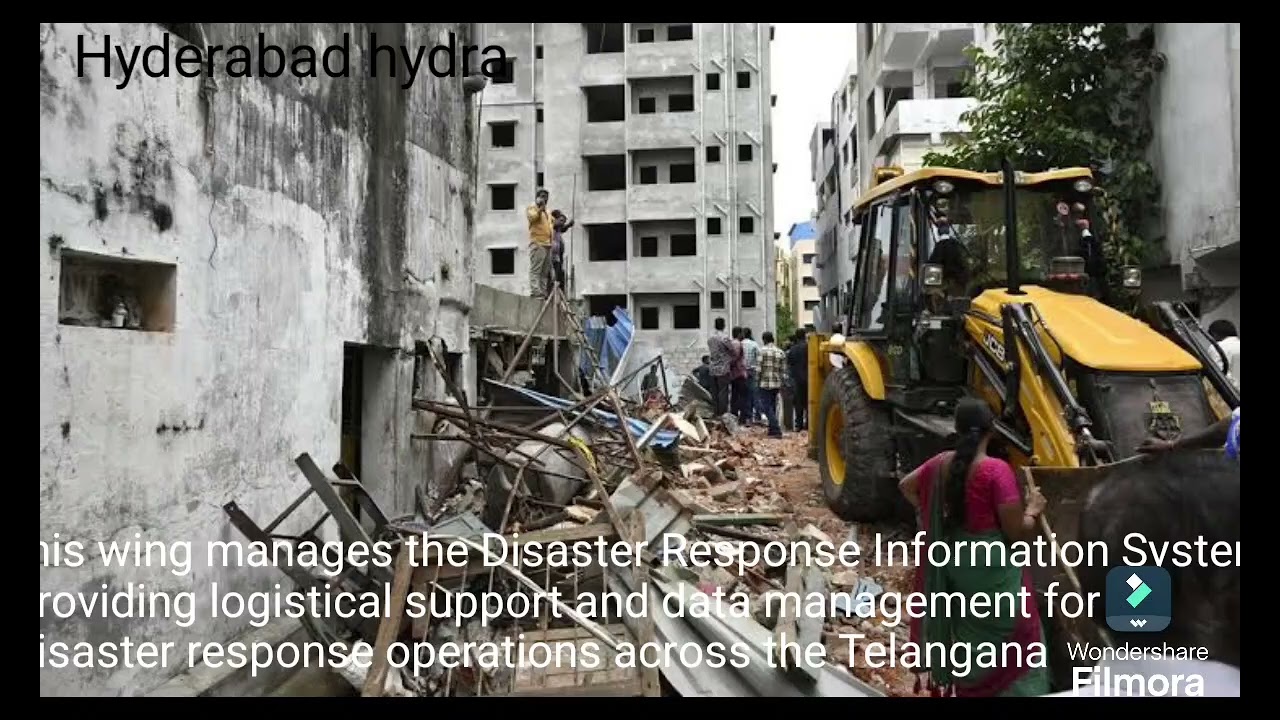Hydra crackdown