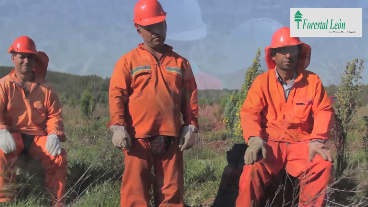 MOTIVACIONAL SEGURIDAD FORESTAL LEON
