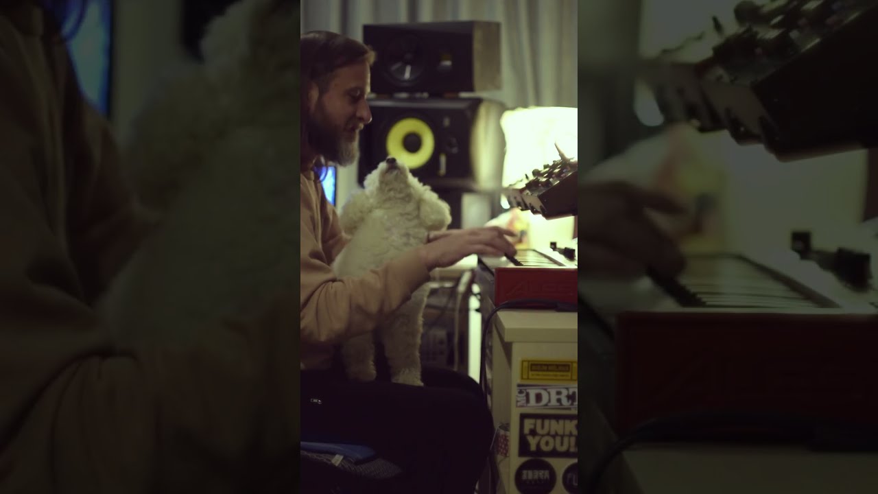 Projdi vilo (remix) PERFORMANCE VIDEO #shorts