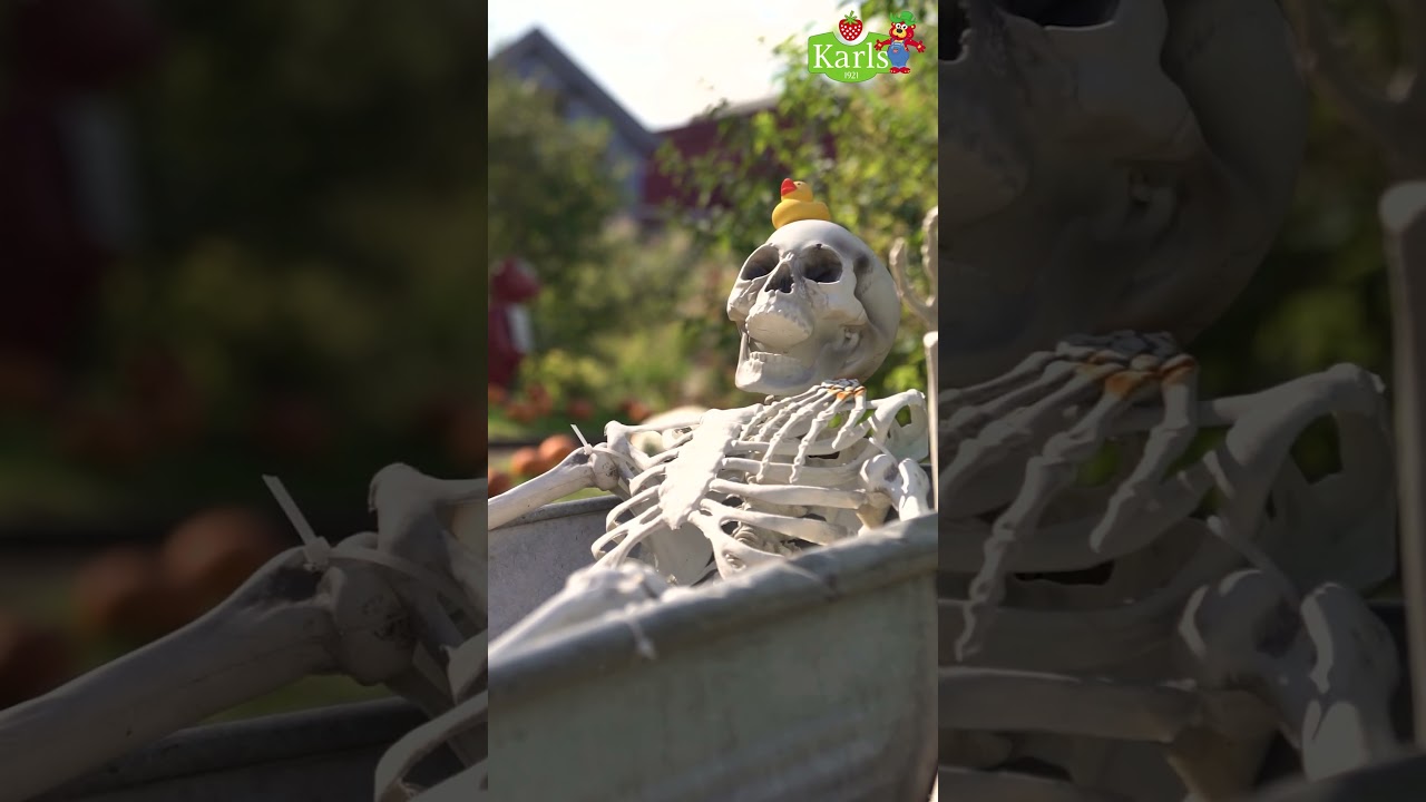 Schauder mal vorbei! Karls Grusel-Oktober | Karls Erlebnis-Dorf 