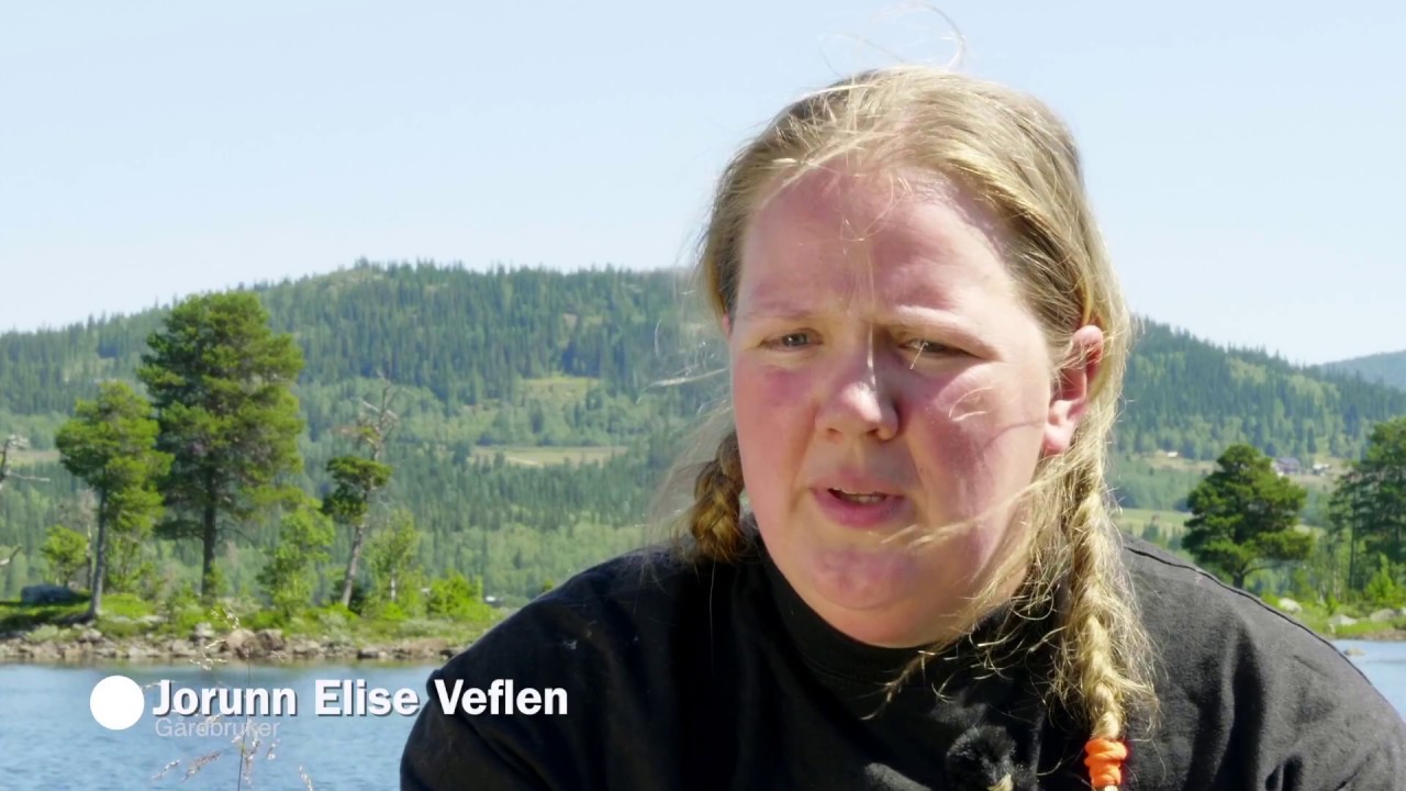 Seterdrift i Valdres