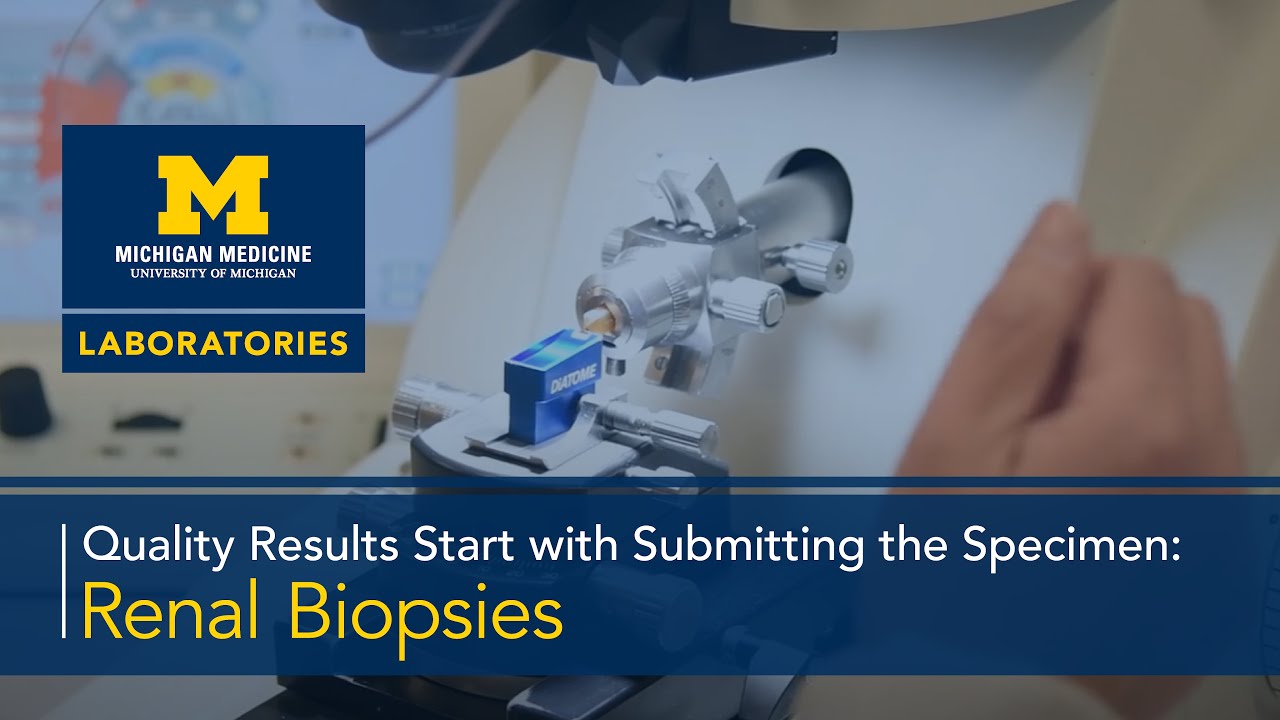 Quality Results Start with Submitting the Specimen: Renal Biopsies
