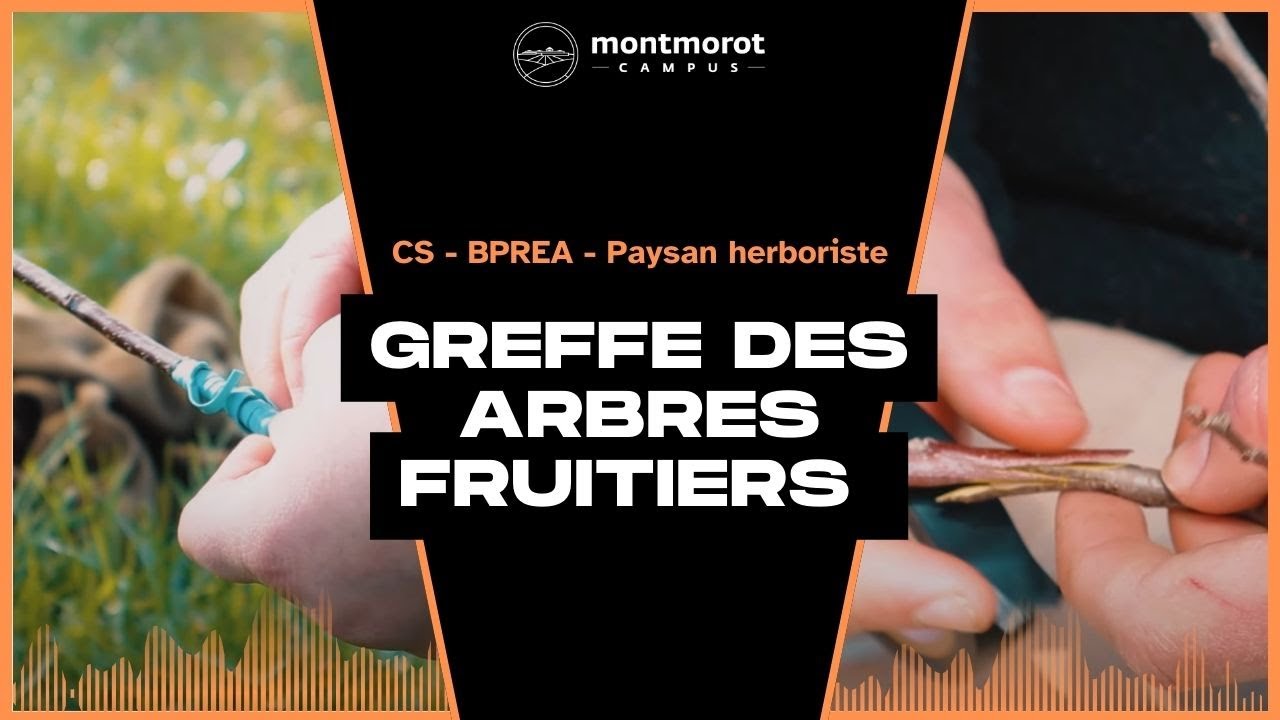 BPREA - Module Greffe des arbres fruitiers - UCARE du BPREA