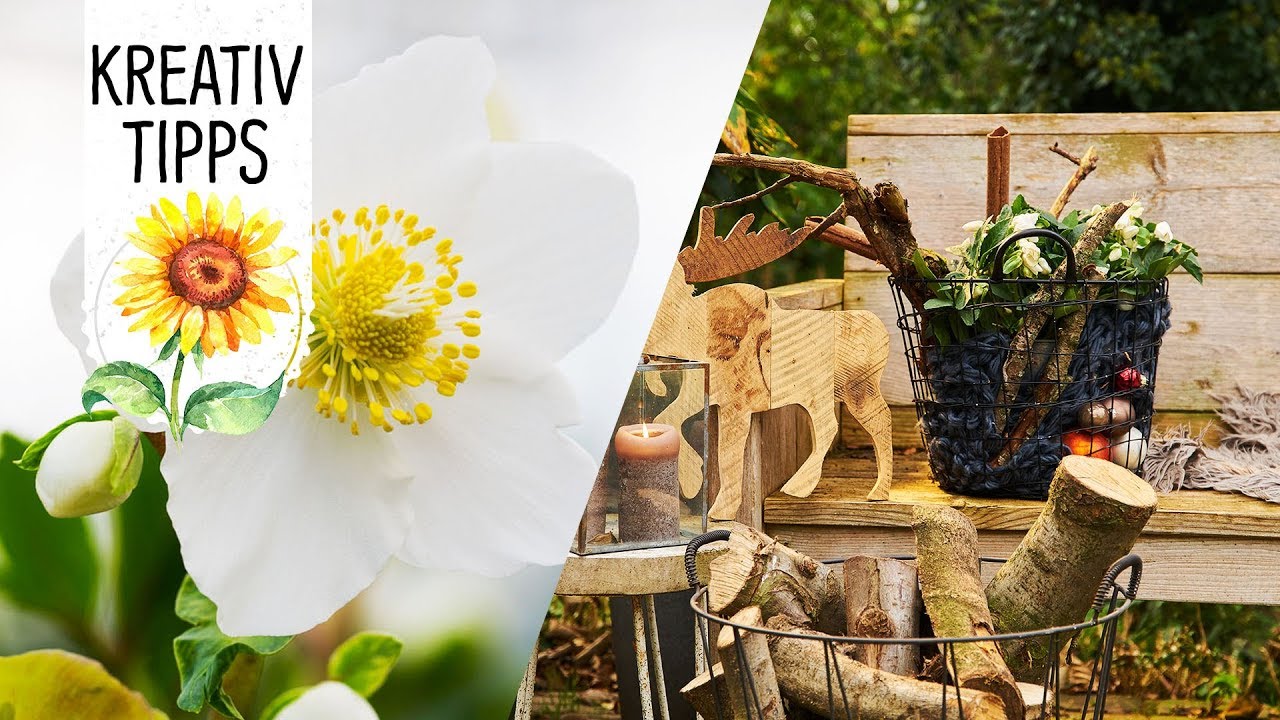 Upcycling-Tipp: Weihnachtsdeko mit der Christrose WinterSun (Outdoor-Deko) - Volmary KreativTipps